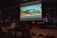 Presentatie op scherm